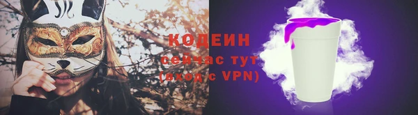 ГАЛЛЮЦИНОГЕННЫЕ ГРИБЫ Гусев