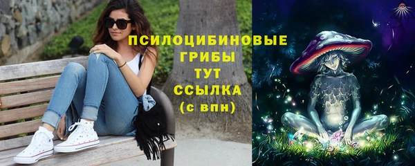 тгк Гусиноозёрск