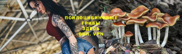 таблы Нея